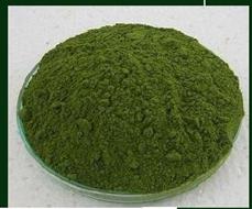 Moringa Leaf and Powder