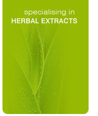 Herbal Formulations